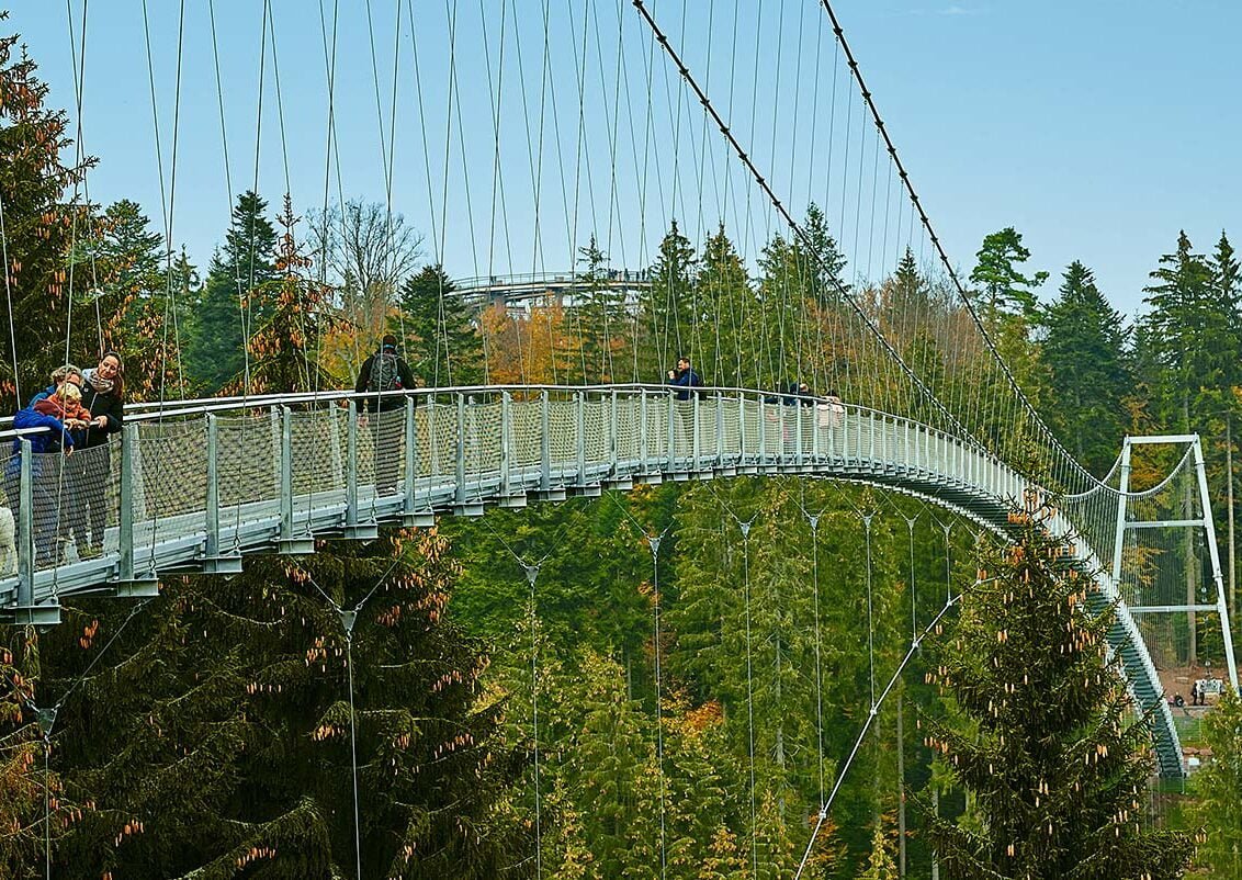 ponte sospeso Wildline